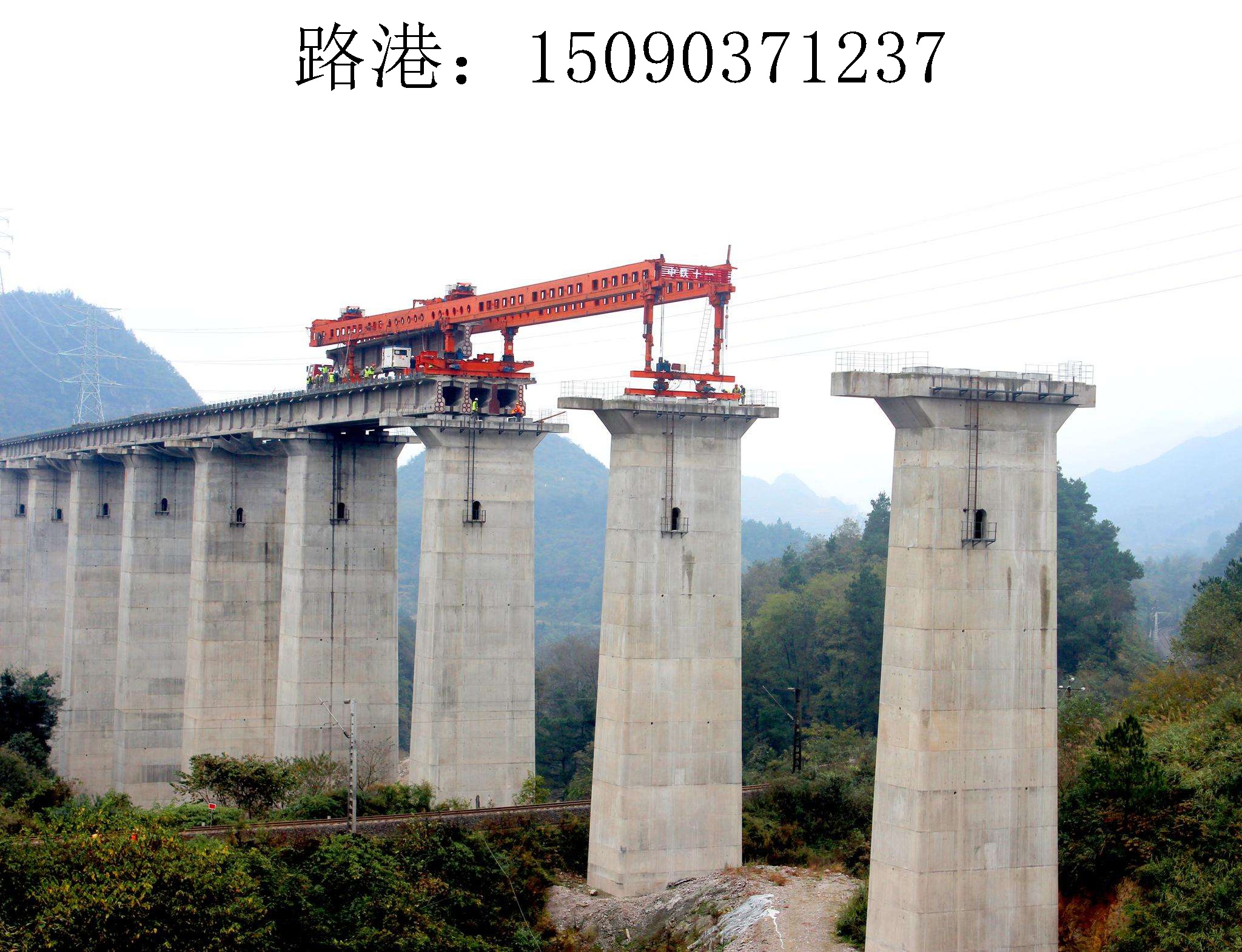 1237路港架桥机219
