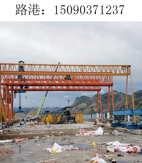 1237路港龙门吊(30)